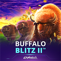 Buffalo Blitz II