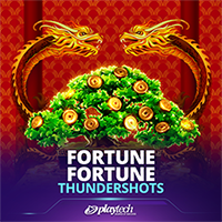 Fortune Fortune: Thundershots