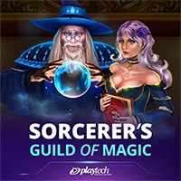 Sorcerer's Guild of Magic