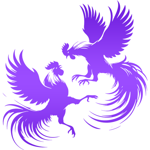 cock_fight