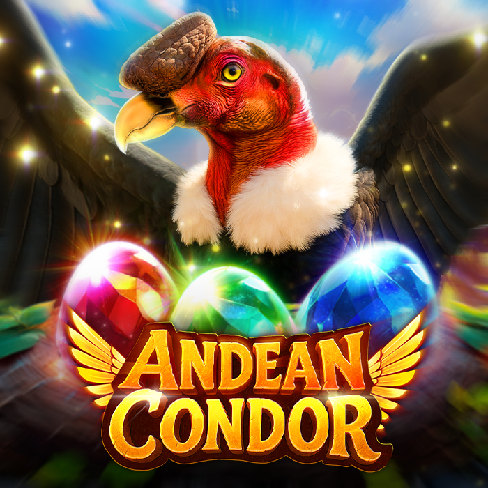 Andean Condor