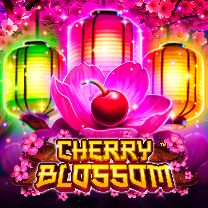 Cherry Blossom